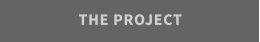 THE PROJECT