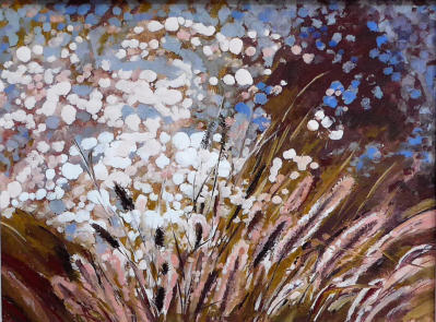 Philippa Jacobs