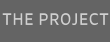THE PROJECT