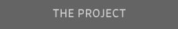 THE PROJECT